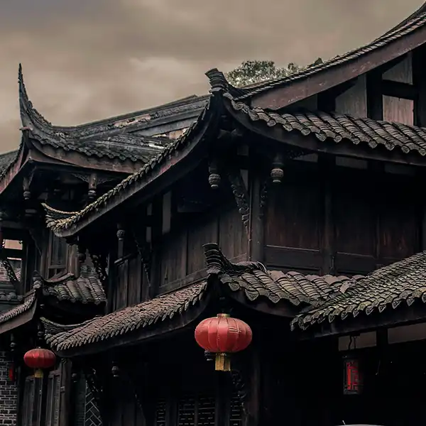 2026.2.8何建章/陈勇静：《中国诗书画印与文化自信》，成都市新都区泰兴社区