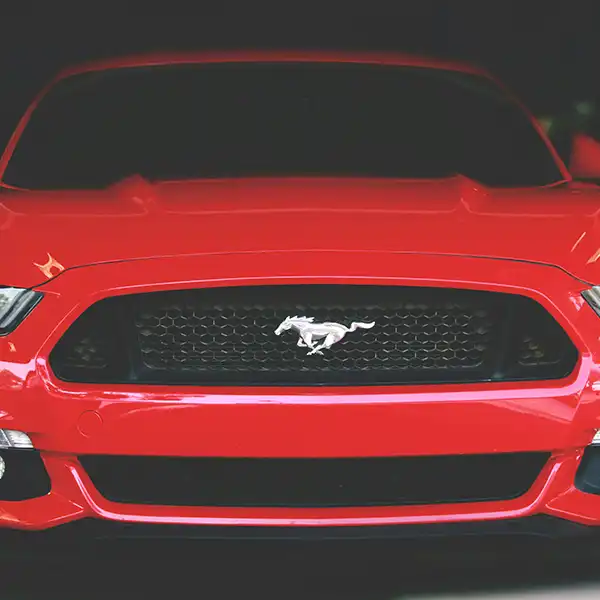 网站建设,小程序开发,公众号开发,商城开发