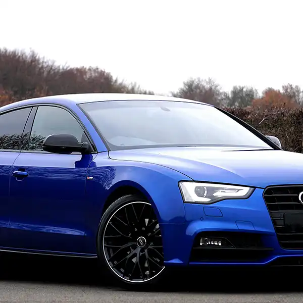 网站建设,小程序开发,公众号开发,商城开发