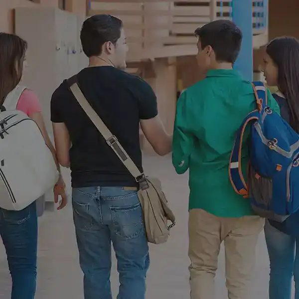 Data Insights: Key Advantage for Teacher Agencies