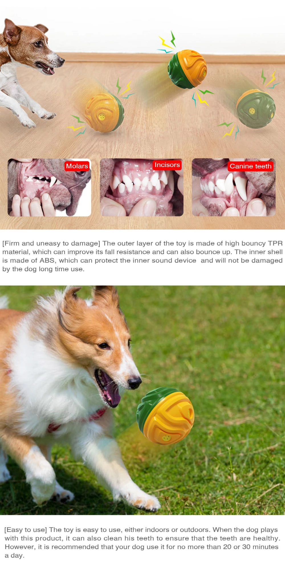 Squeaky Textured Dog Chew Ball | 3 Sounds + Soft TPR Hard ABS | Wholesale